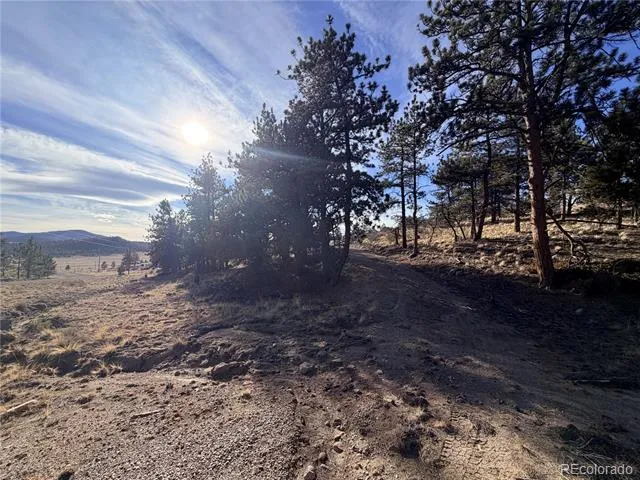 729 Bridle Path Hartsel, CO 80449