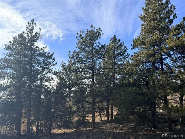 729 Bridle Path Hartsel, CO 80449