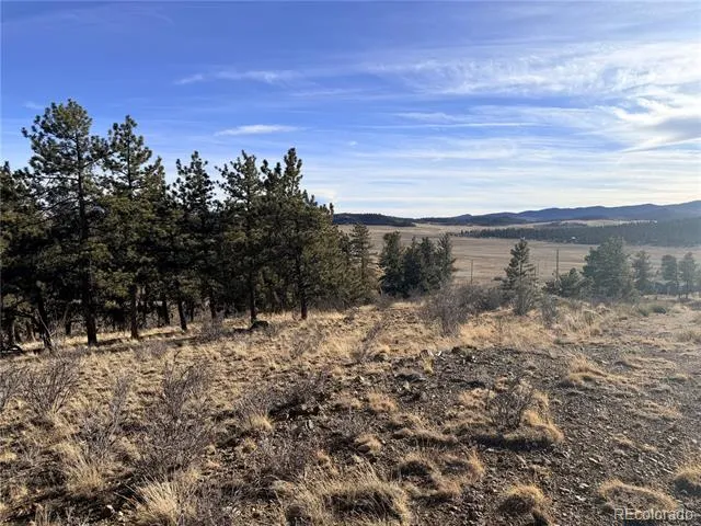 729 Bridle Path Hartsel, CO 80449