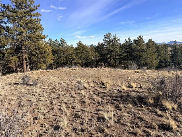 729 Bridle Path Hartsel, CO 80449
