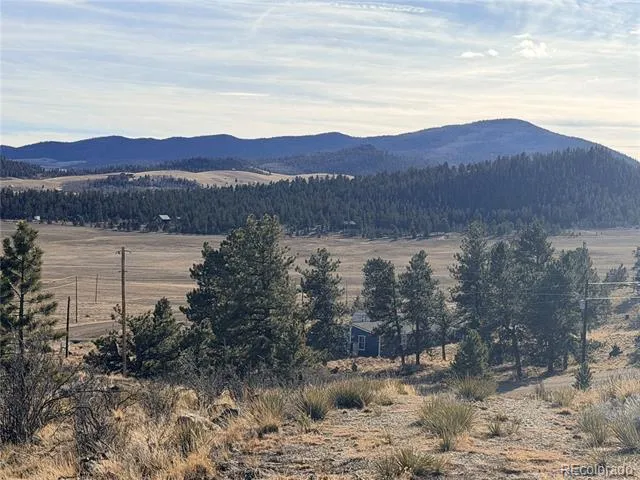 729 Bridle Path Hartsel, CO 80449