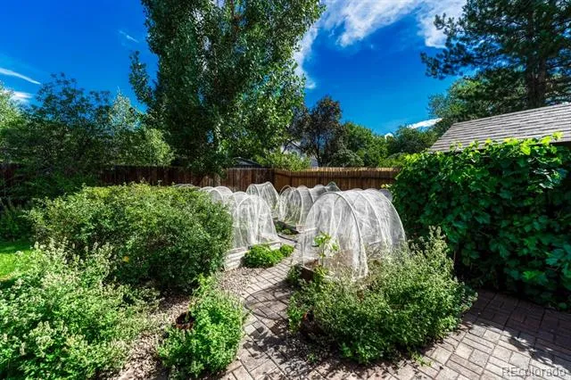 5050 Chickweed Drive Colorado Springs, CO 80917