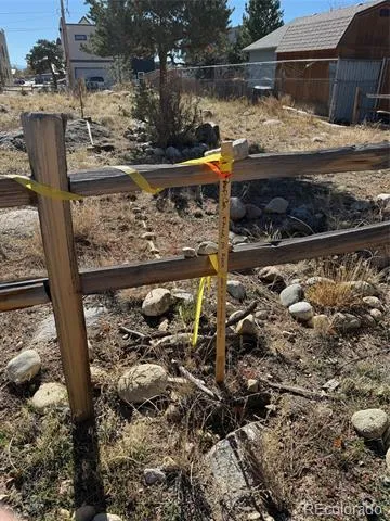 517 E Arkansas Street Buena Vista, CO 81211
