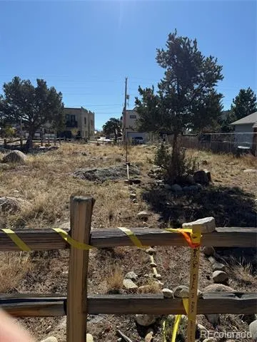 517 E Arkansas Street Buena Vista, CO 81211