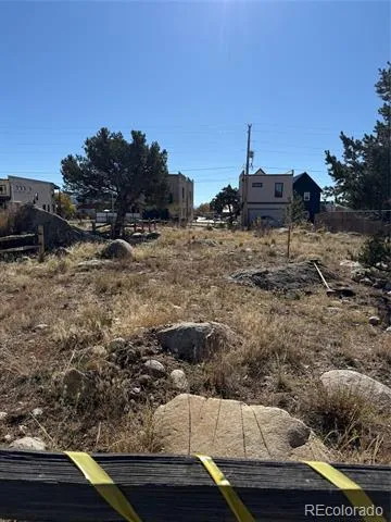 517 E Arkansas Street Buena Vista, CO 81211