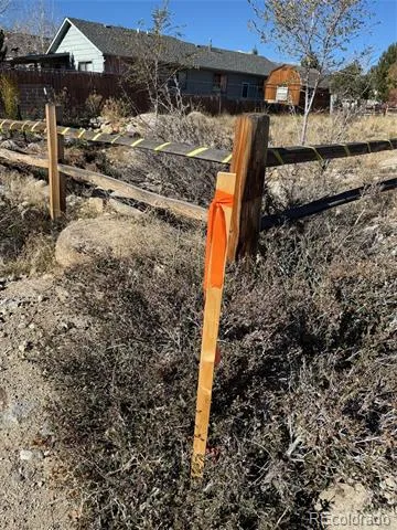 517 E Arkansas Street Buena Vista, CO 81211