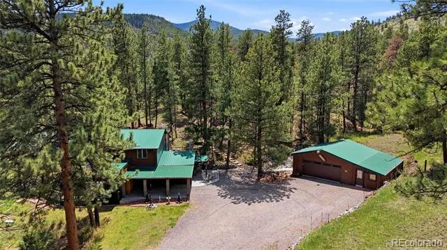 102 Insmont Drive Bailey, CO 80421