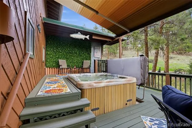 102 Insmont Drive Bailey, CO 80421