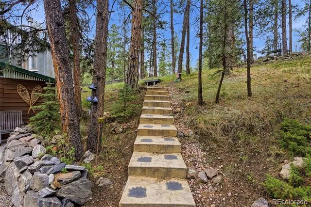 102 Insmont Drive Bailey, CO 80421