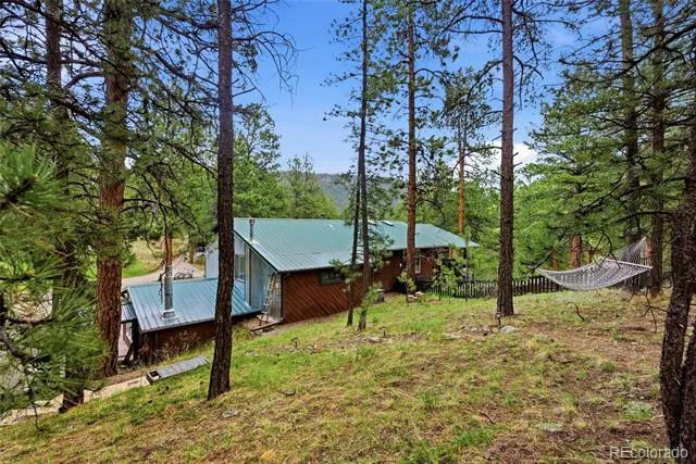 102 Insmont Drive Bailey, CO 80421