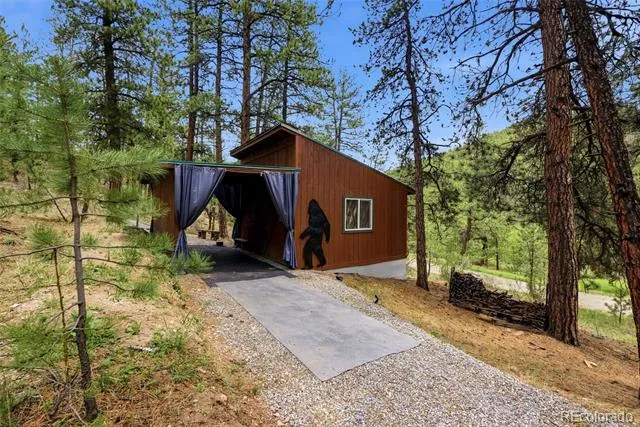 102 Insmont Drive Bailey, CO 80421