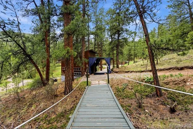 102 Insmont Drive Bailey, CO 80421