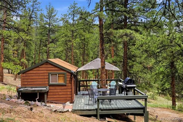 102 Insmont Drive Bailey, CO 80421
