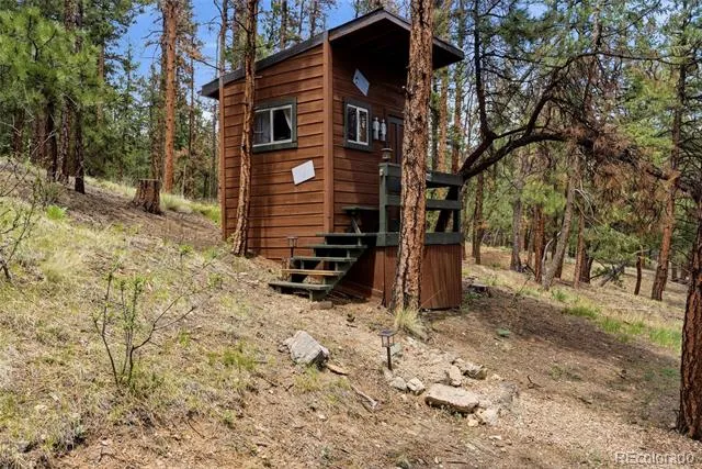 102 Insmont Drive Bailey, CO 80421