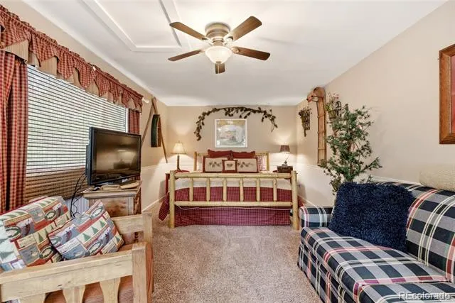 102 Insmont Drive Bailey, CO 80421