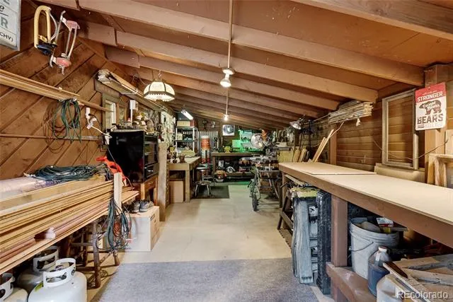 102 Insmont Drive Bailey, CO 80421