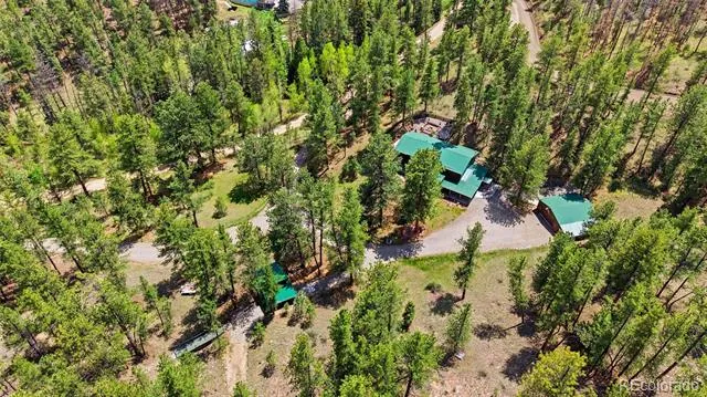 102 Insmont Drive Bailey, CO 80421