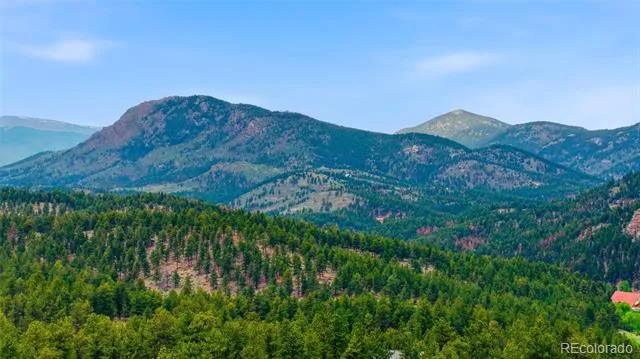 102 Insmont Drive Bailey, CO 80421