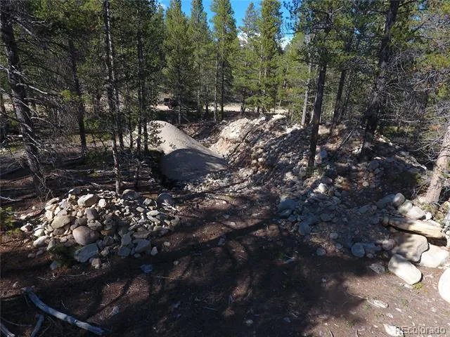 248 Venture Road Fairplay, CO 80440
