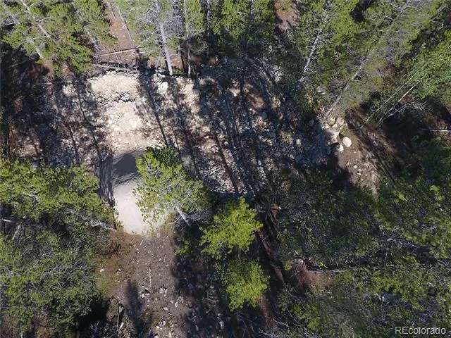 248 Venture Road Fairplay, CO 80440