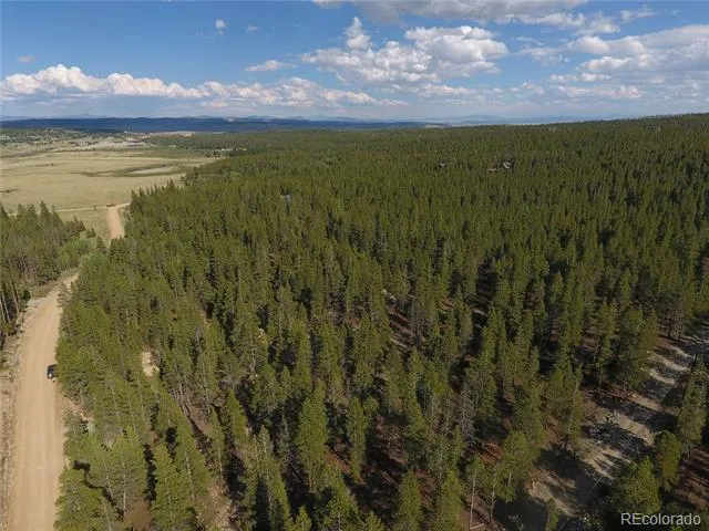 248 Venture Road Fairplay, CO 80440