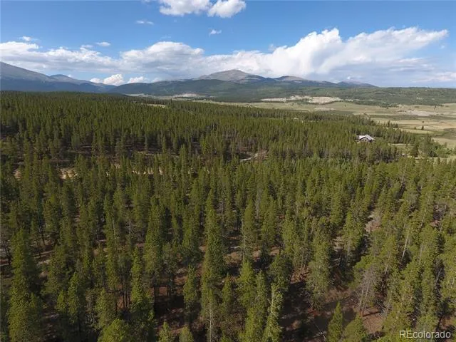 248 Venture Road Fairplay, CO 80440