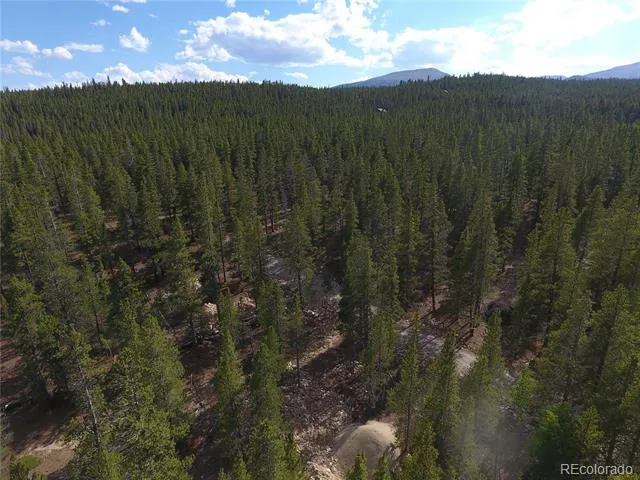 248 Venture Road Fairplay, CO 80440