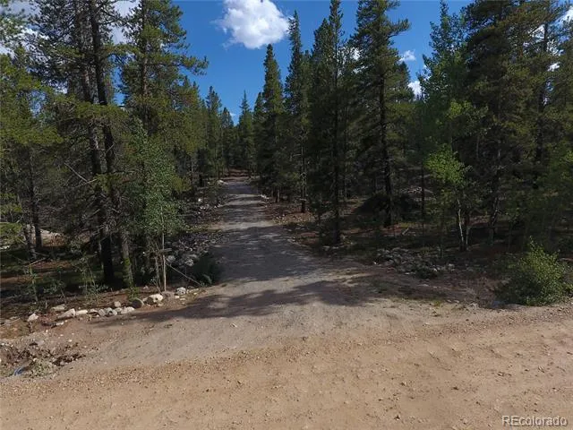 248 Venture Road Fairplay, CO 80440