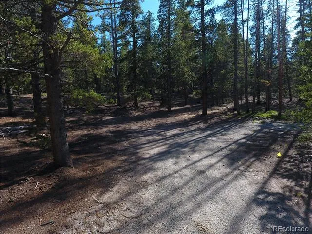 248 Venture Road Fairplay, CO 80440