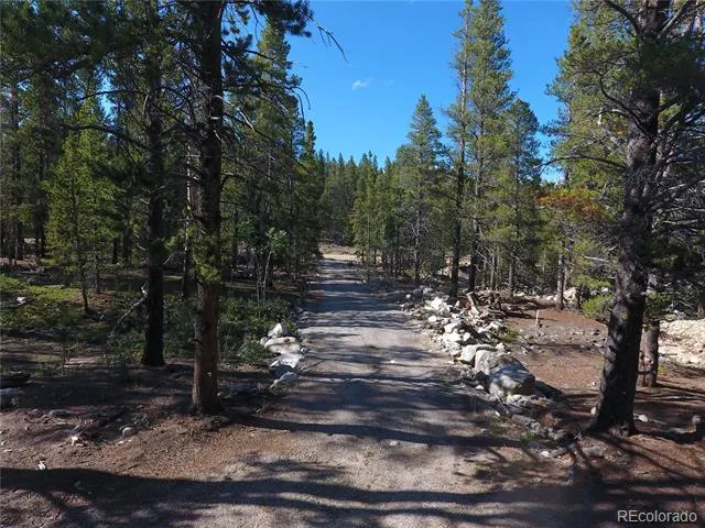 248 Venture Road Fairplay, CO 80440
