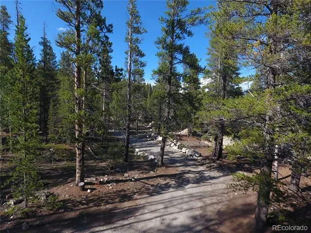248 Venture Road Fairplay, CO 80440