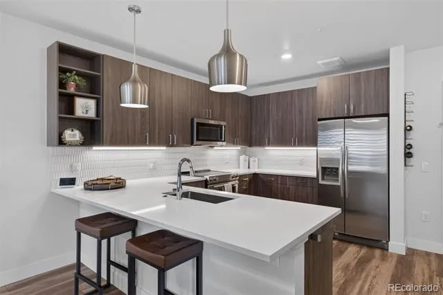 20 Wilcox Street #314 Castle Rock, CO 80104