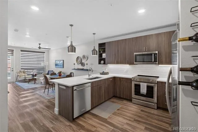 20 Wilcox Street #314 Castle Rock, CO 80104