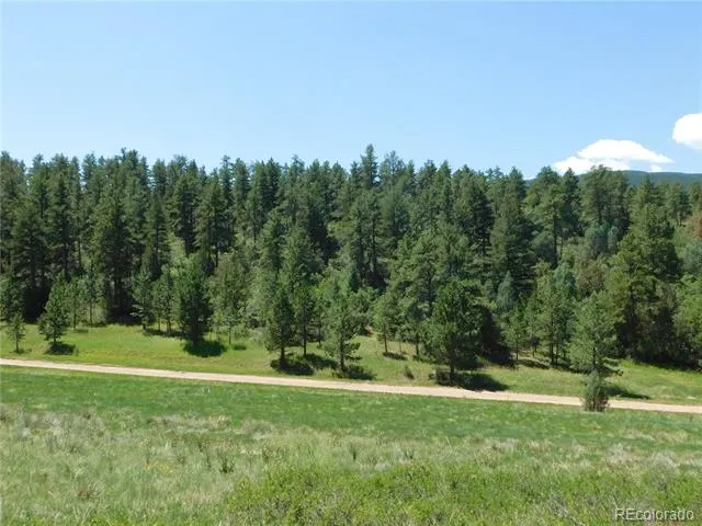 4668 Comanche Drive Larkspur, CO 80118