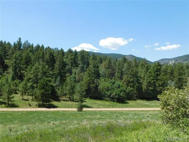 4668 Comanche Drive Larkspur, CO 80118