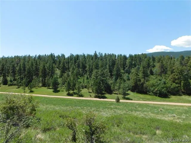 4668 Comanche Drive Larkspur, CO 80118