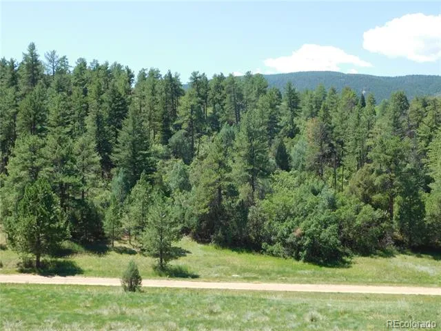 4668 Comanche Drive Larkspur, CO 80118