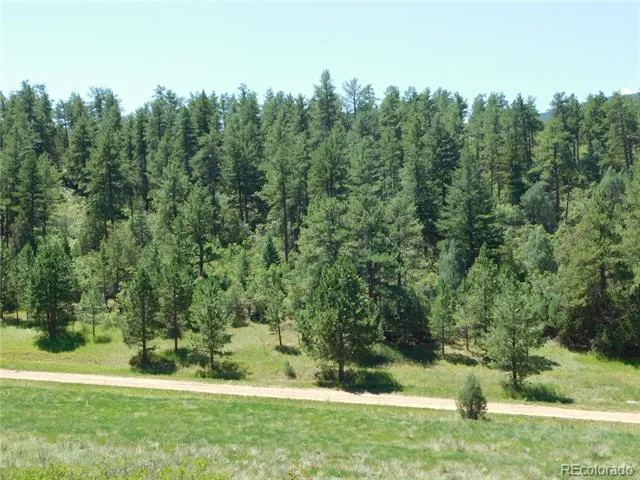 4668 Comanche Drive Larkspur, CO 80118
