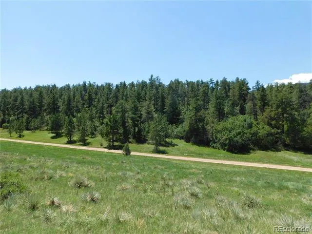 4668 Comanche Drive Larkspur, CO 80118
