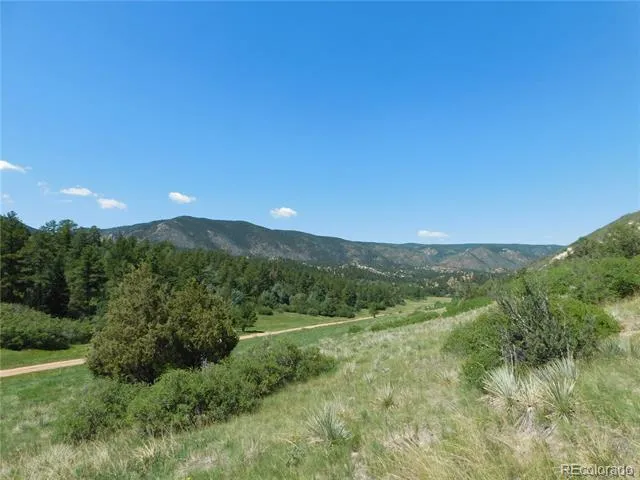 4668 Comanche Drive Larkspur, CO 80118