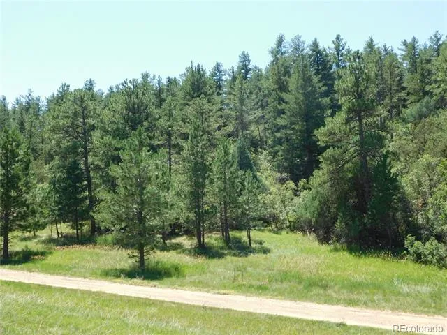 4668 Comanche Drive Larkspur, CO 80118