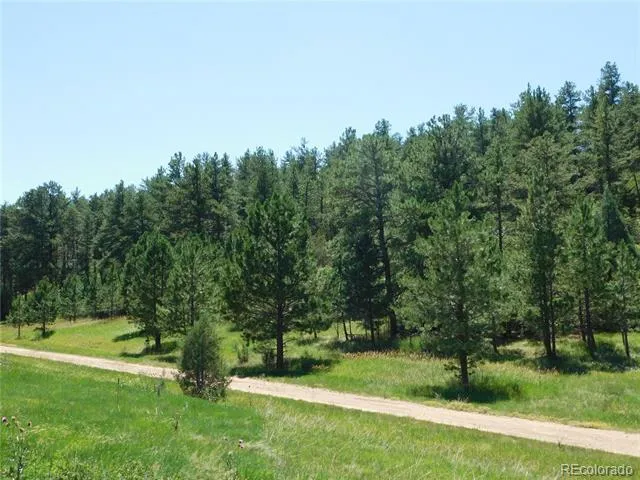 4668 Comanche Drive Larkspur, CO 80118
