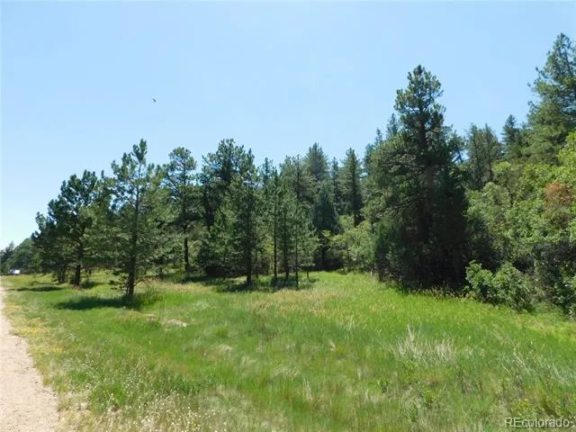 4668 Comanche Drive Larkspur, CO 80118