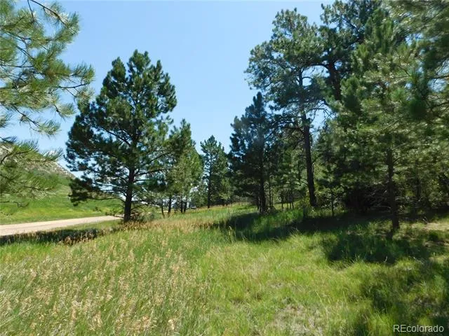 4668 Comanche Drive Larkspur, CO 80118