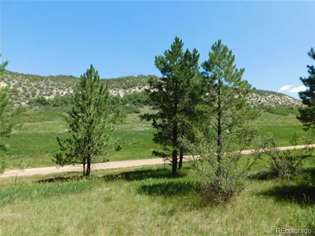 4668 Comanche Drive Larkspur, CO 80118