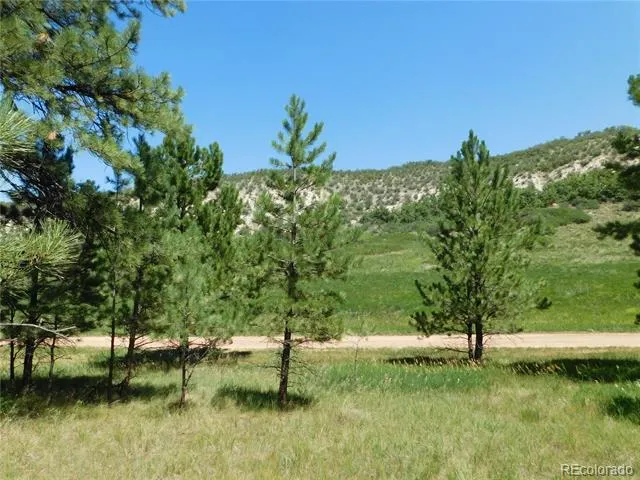 4668 Comanche Drive Larkspur, CO 80118