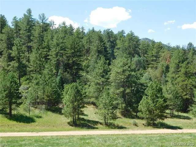 4668 Comanche Drive Larkspur, CO 80118
