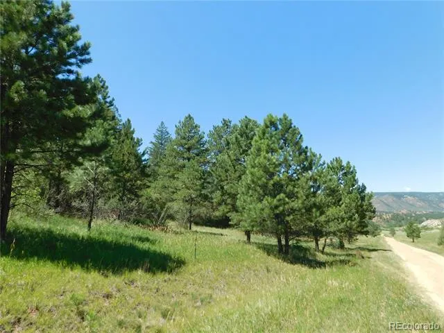4668 Comanche Drive Larkspur, CO 80118