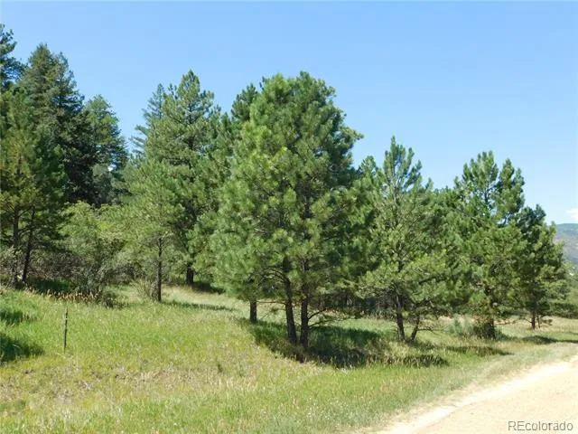4668 Comanche Drive Larkspur, CO 80118