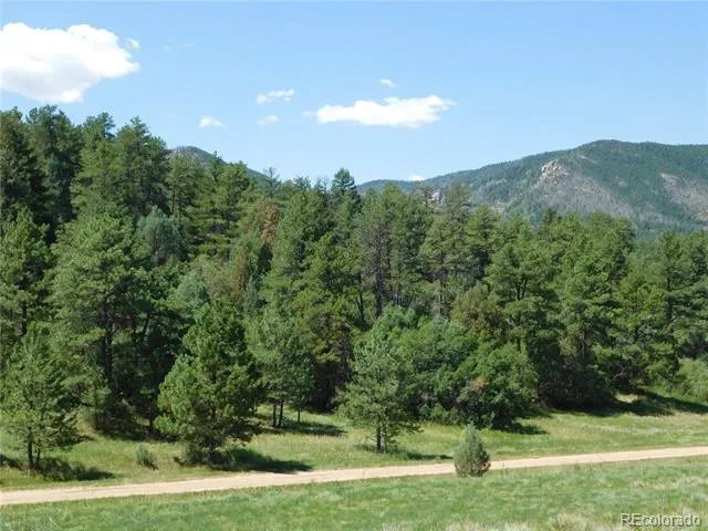4668 Comanche Drive Larkspur, CO 80118